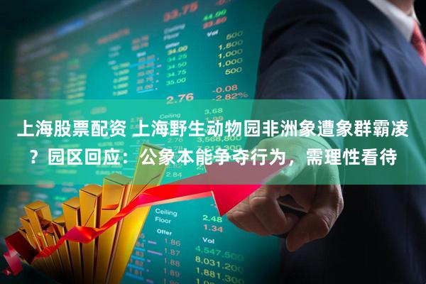 上海股票配资 上海野生动物园非洲象遭象群霸凌？园区回应：公象本能争夺行为，需理性看待