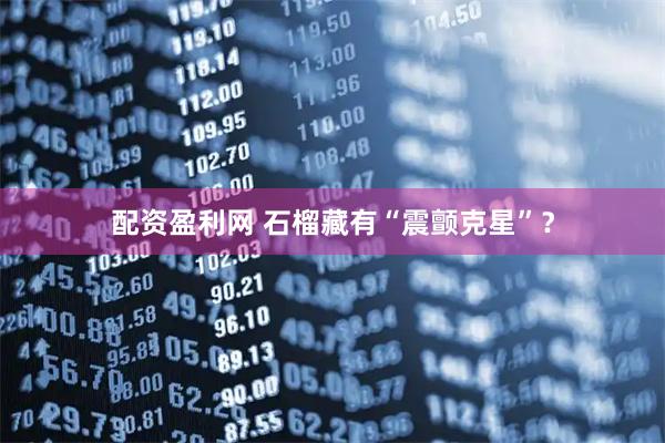 配资盈利网 石榴藏有“震颤克星”？